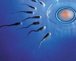 西安做试管婴儿不需要结婚证了吗？条件变化背后的深层影响解析