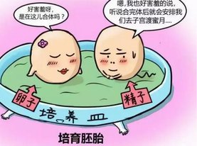 双子宫可以做试管吗？双子宫做试管成功率竟高达60%